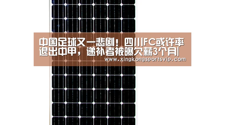 中国足球又一悲剧!四川FC或许率退出中甲,递补者被曝欠薪3个月|星空登录(图2) 星空登录