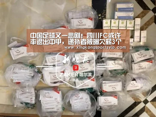 中国足球又一悲剧!四川FC或许率退出中甲,递补者被曝欠薪3个月|星空登录(图3) 星空官网
