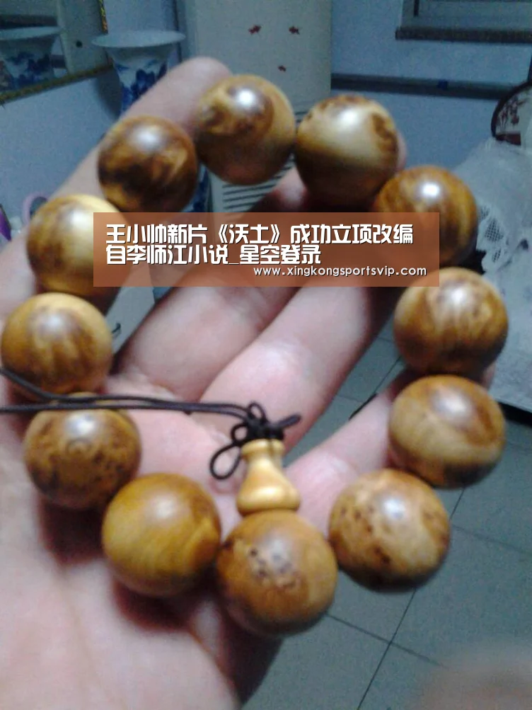 王小帅新片《沃土》成功立项改编自李师江小说_星空登录