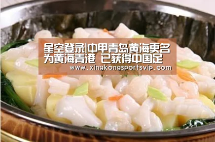 星空登录|中甲青岛黄海更名为黄海青港 已获得中国足协批准(图1) 星空登录