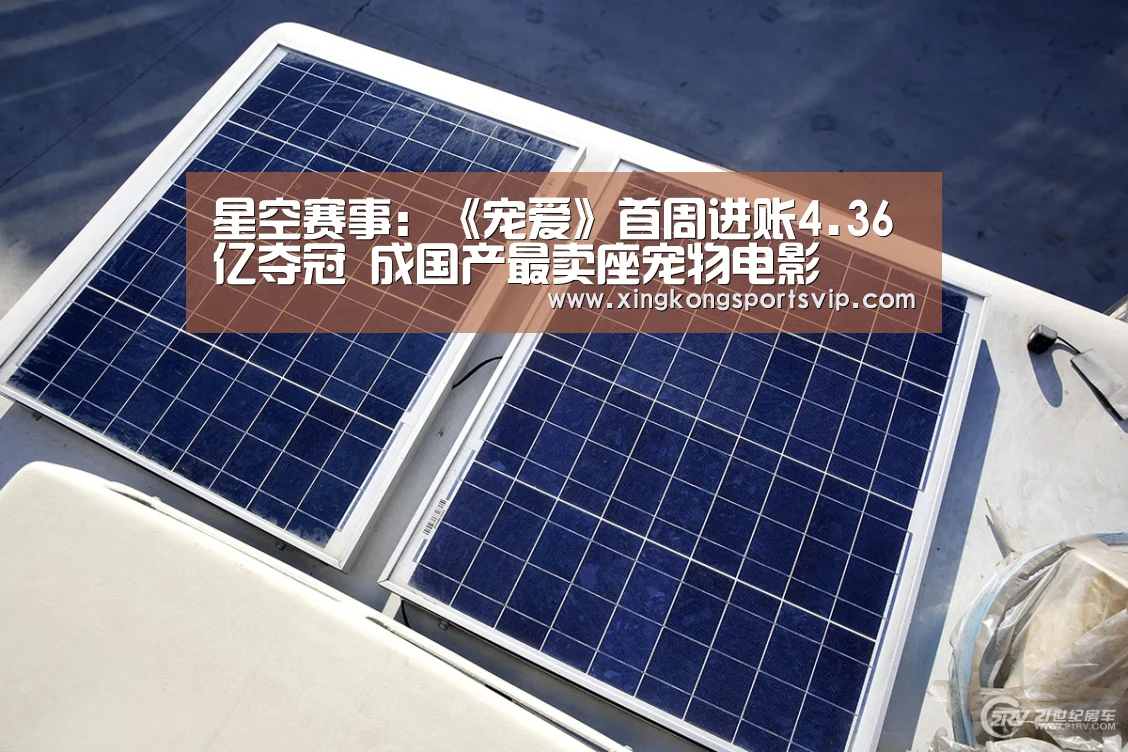 星空赛事：《宠爱》首周进账4.36亿夺冠 成国产最卖座宠物电