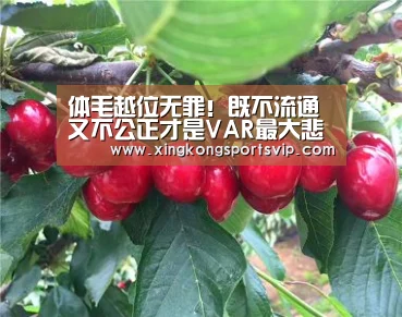 体毛越位无罪!既不流通又不公正才是VAR最大悲伤_星空官网(图5) 星空电竞